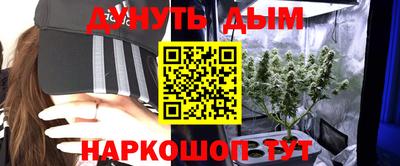 СК Бердск