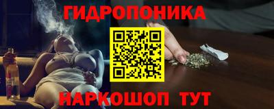 СК Бердск