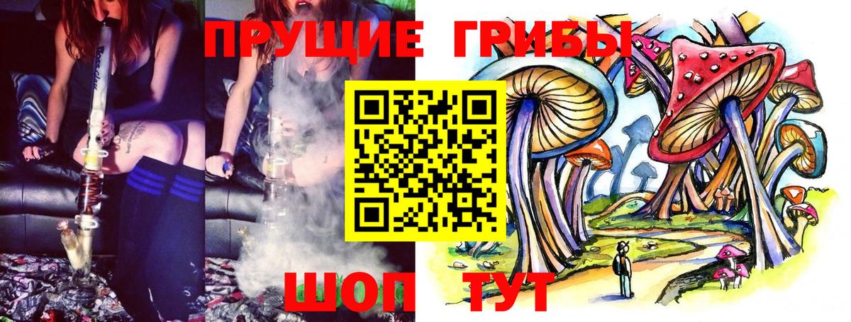 Псилоцибиновые грибы MAGIC MUSHROOMS Сланцы