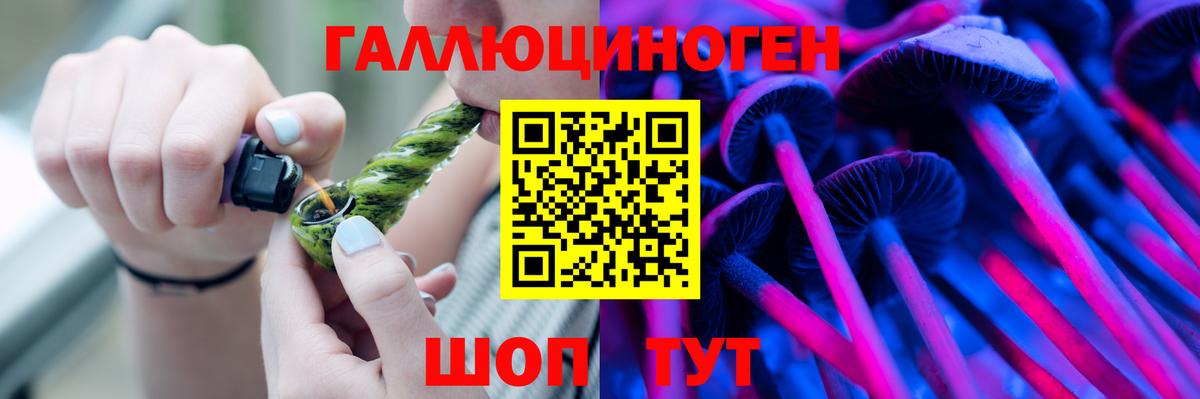 купить закладку  Псилоцибиновые грибы Psilocybe  Псилоцибиновые грибы Psilocybine cubensis  Вход с VPN  Сланцы 